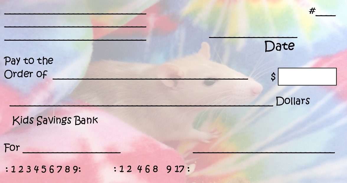 7 Best Images Of Printable Fake Checks Printable Play Checks For Kids 